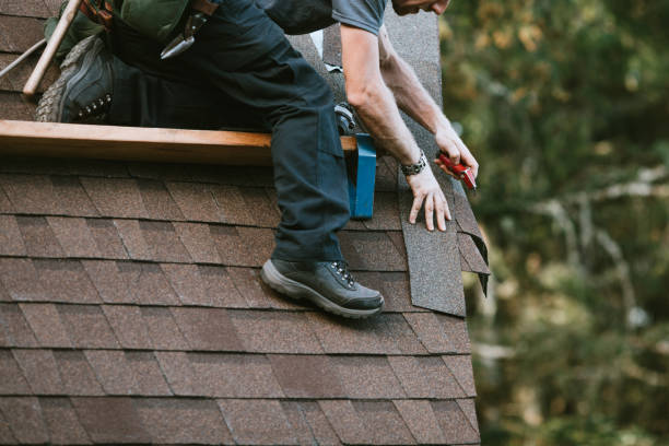 Roof Gutter Cleaning in Wilson Conococheague, MD
